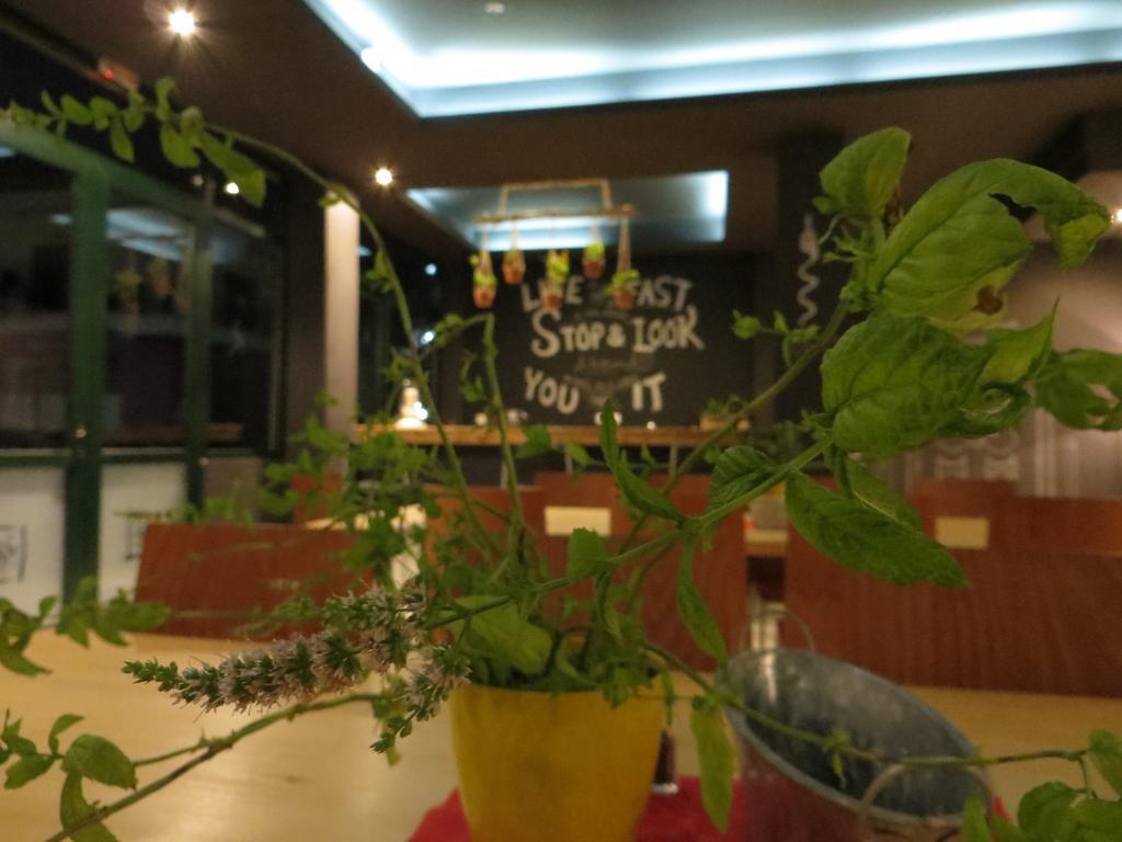Leonidaion Guesthouse أولمبيا المظهر الخارجي الصورة The interior of the restaurant
